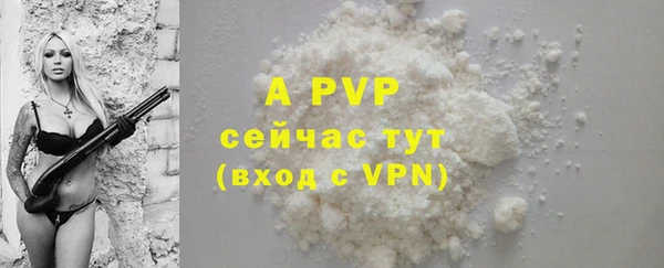 стафф Гусиноозёрск