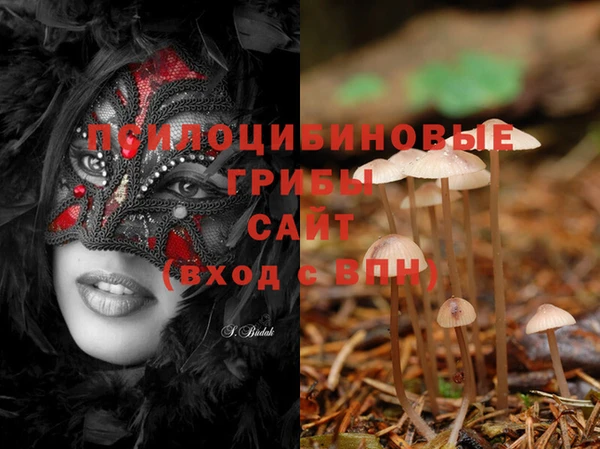 стафф Гусиноозёрск