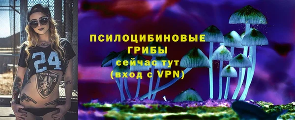стафф Гусиноозёрск