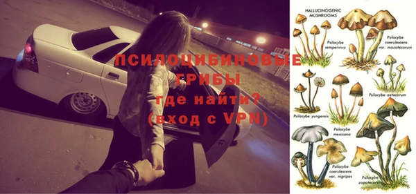 бошки Гусев