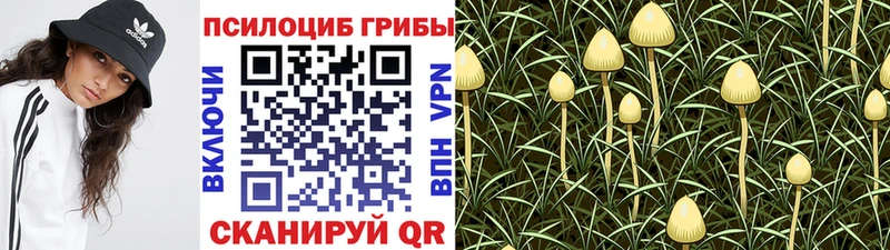 Галлюциногенные грибы мицелий  Няндома 